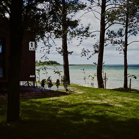 Dollar -plaza * 新古提