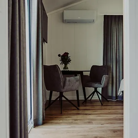 Dollar -plaza 新古提