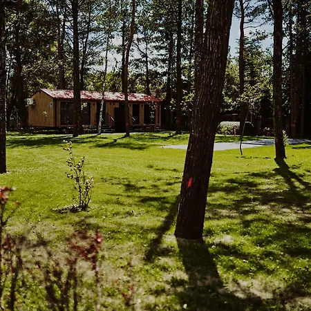 Dollar -plaza * 新古提