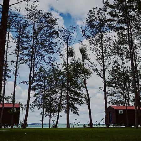 Dollar -plaza 新古提