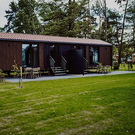 Dollar -plaza * 新古提