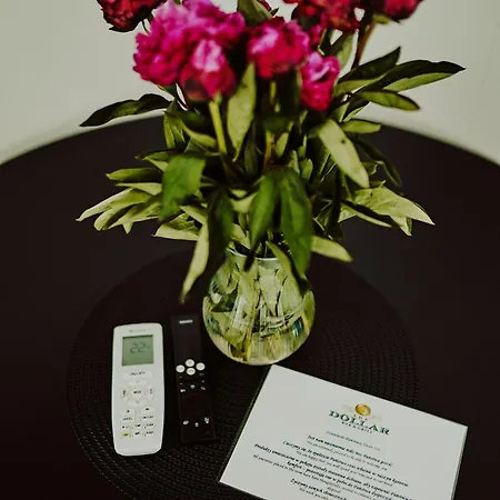 Dollar -plaza 公寓