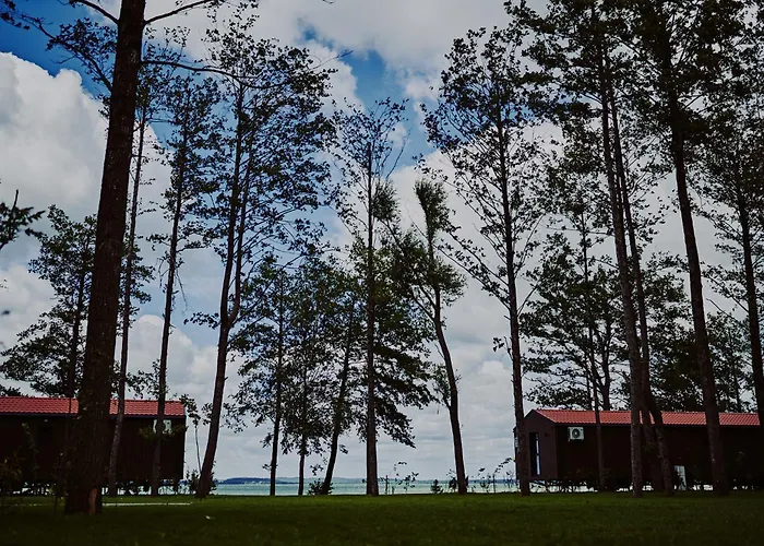 Dollar -plaza Nowe Guty