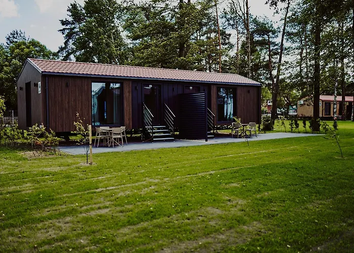 Dollar -plaza * Nowe Guty