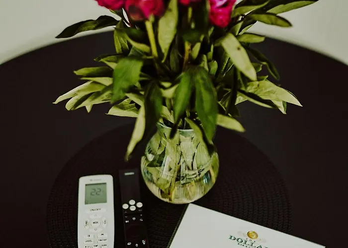 Dollar -plaza Apartment